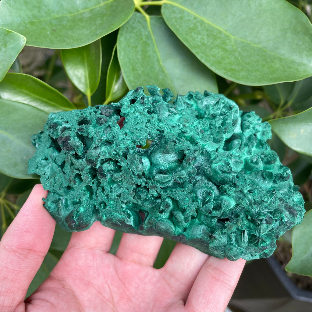 #SP105 Malachite Specimen