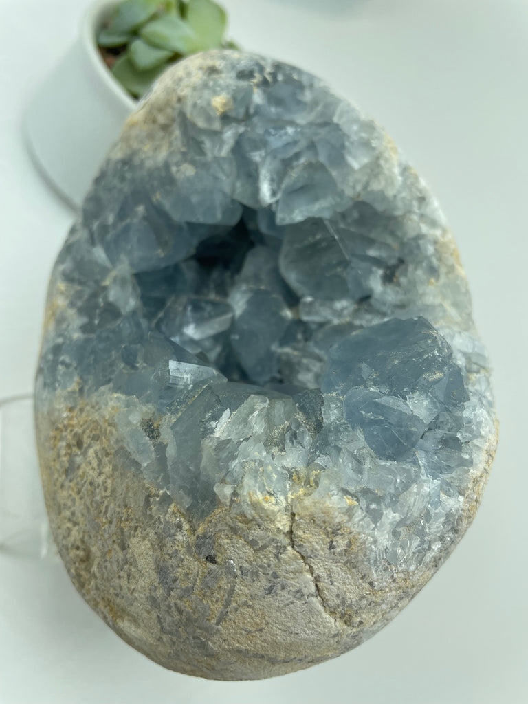 Celestite Crystal Cluster CE16