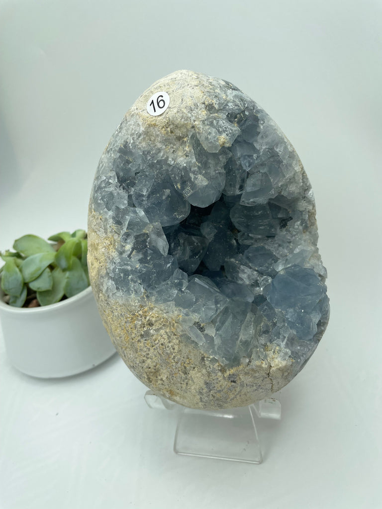 Celestite Crystal Cluster CE16