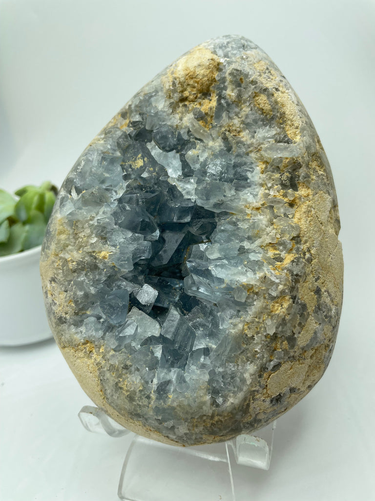 Celestite Crystal Cluster CE17