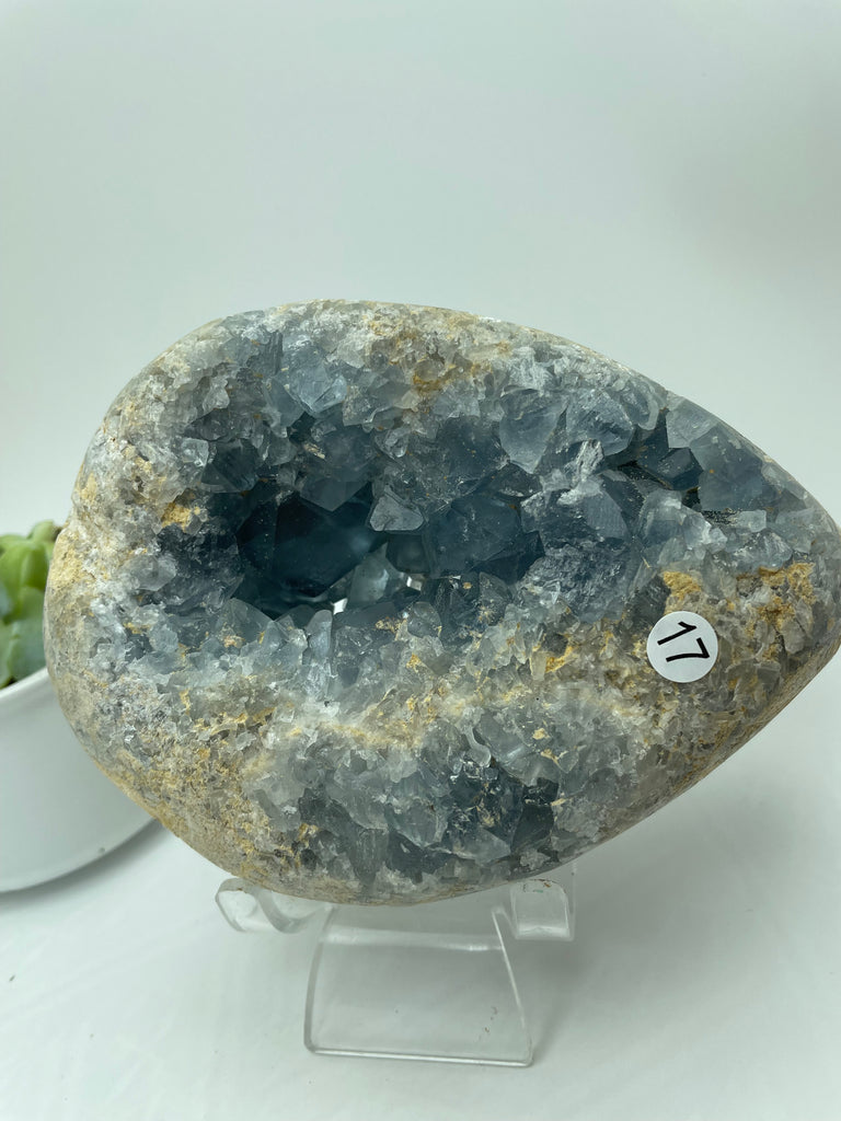 Celestite Crystal Cluster CE17