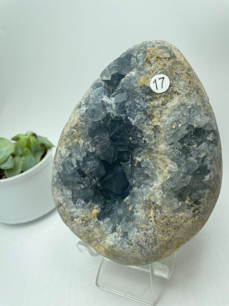 Celestite Crystal Cluster CE17