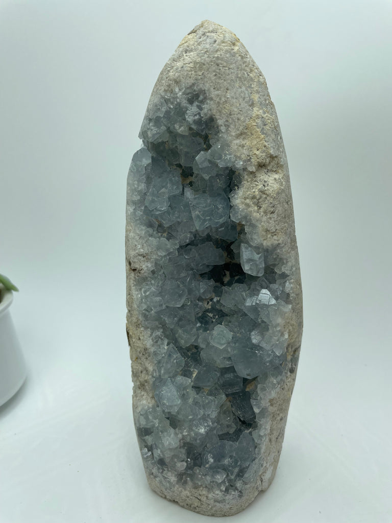 Celestite Crystal Cluster CE18