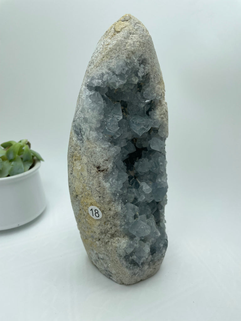 Celestite Crystal Cluster CE18