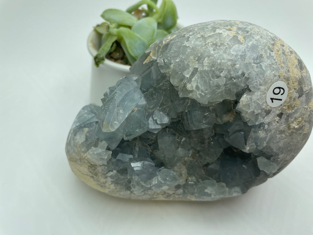 Celestite Crystal Cluster CE19