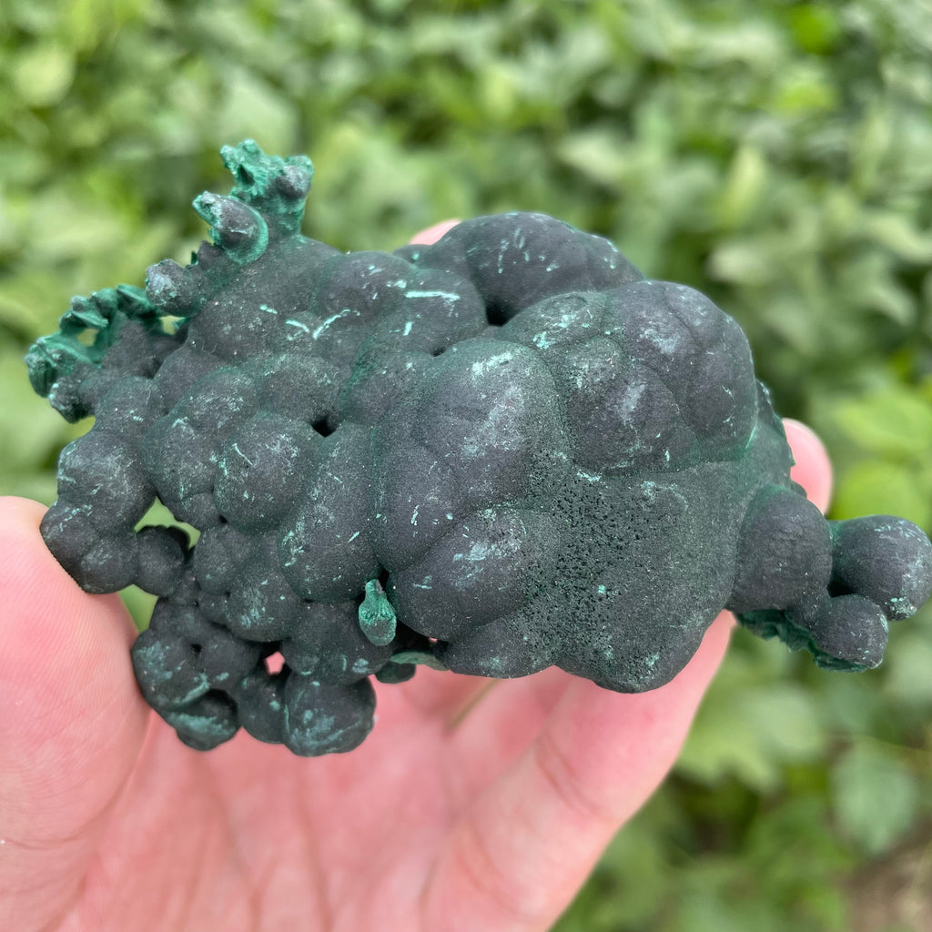 #SP41 Malachite Specimen