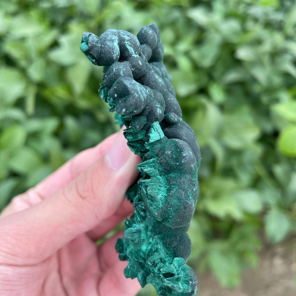 #SP41 Malachite Specimen