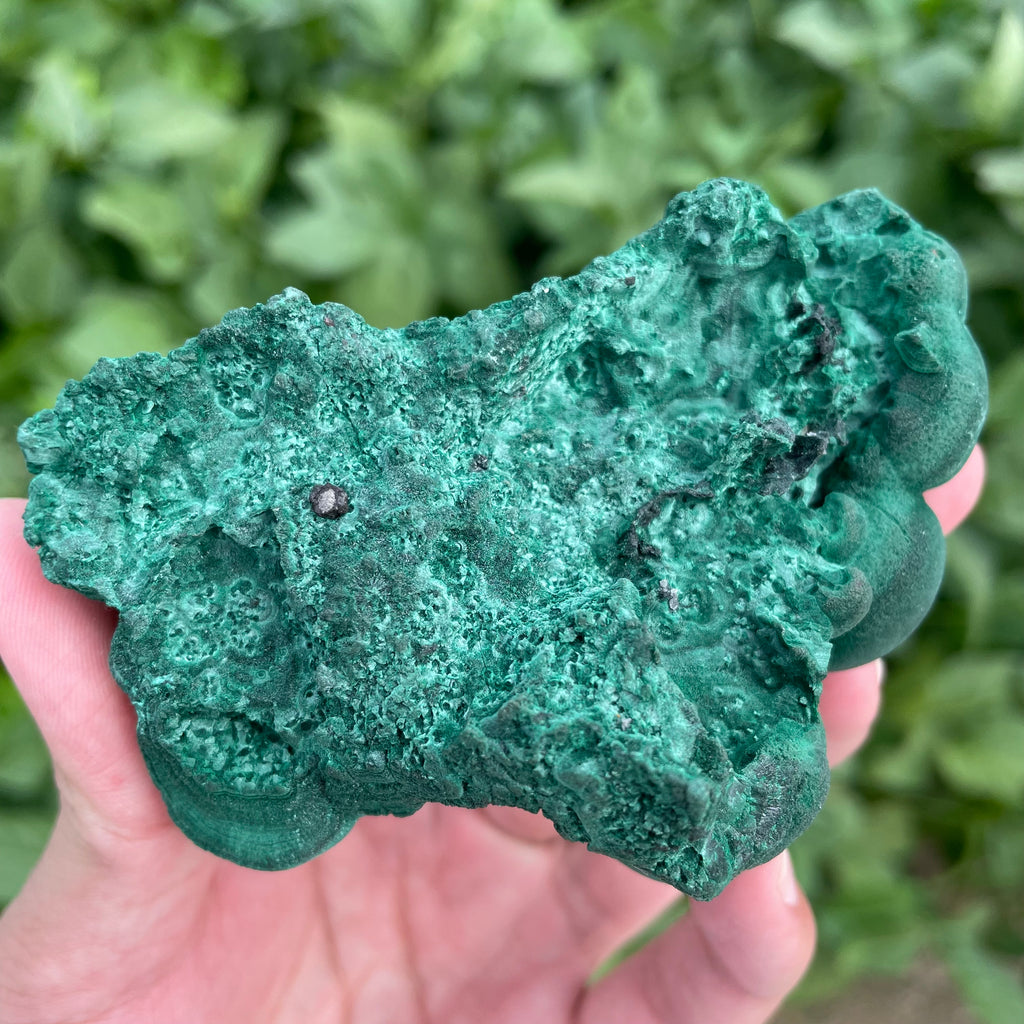 #SP43 Malachite Specimen