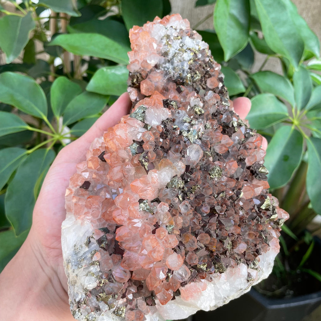 #SP88 Red Quartz With Pyrite