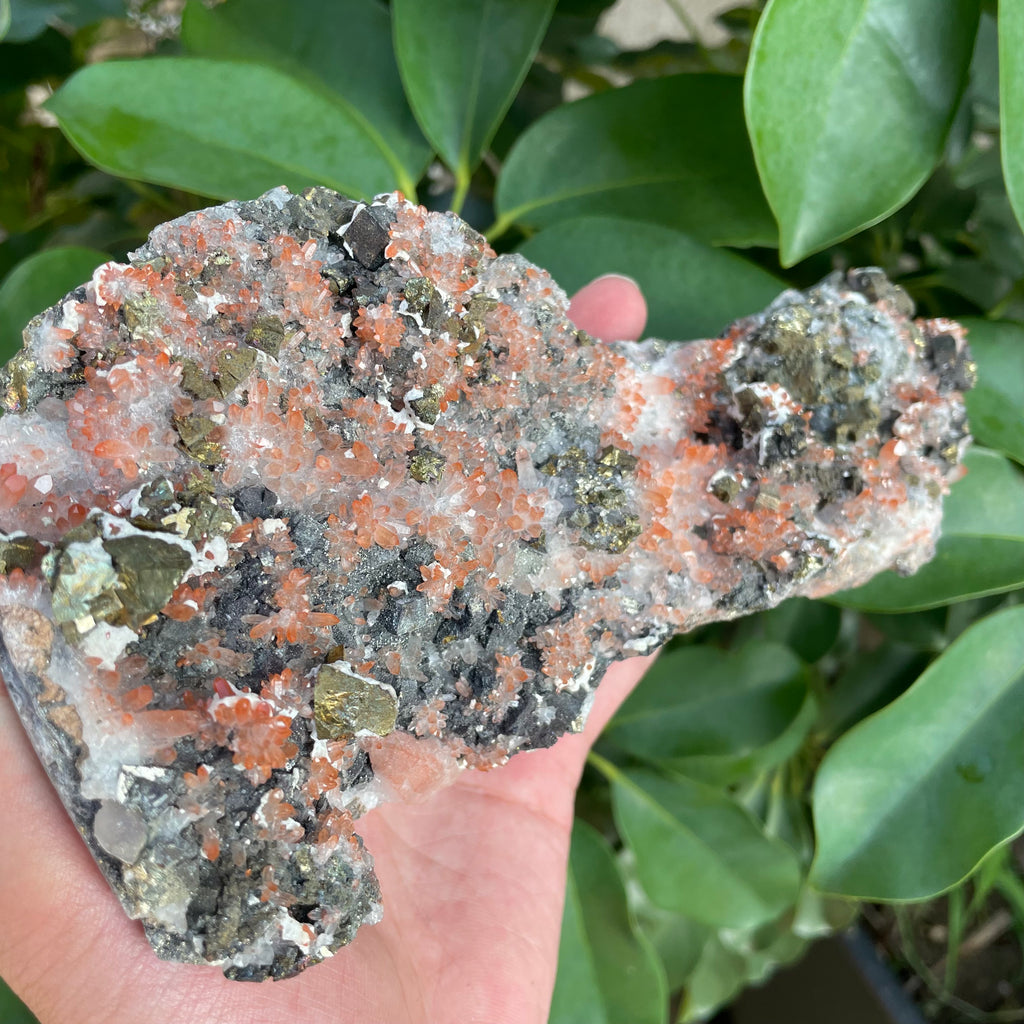 #SP89 Red Quartz With Pyrite