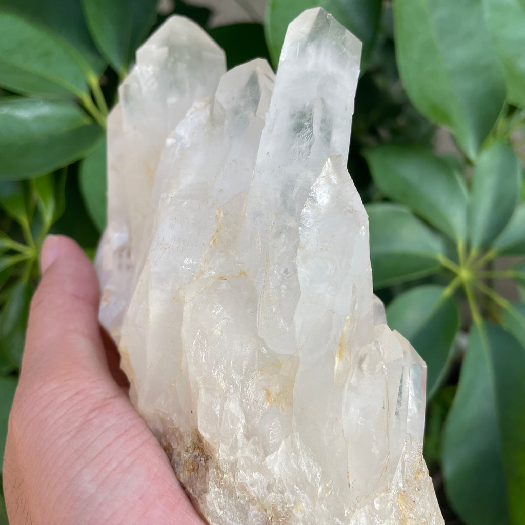 #SP90 Clear Quartz Pyrite