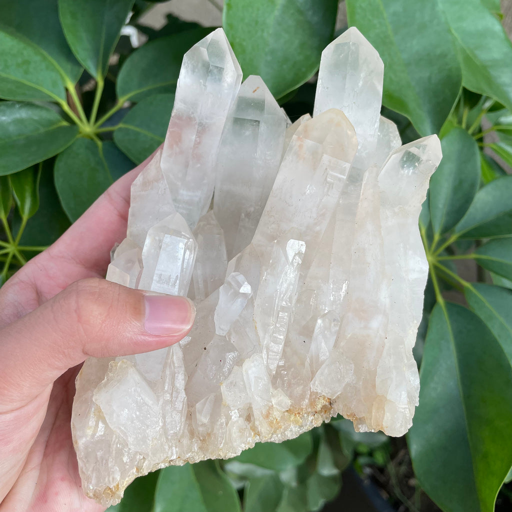 #SP90 Clear Quartz Pyrite