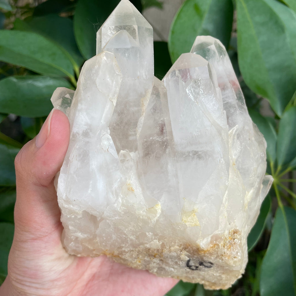 #SP90 Clear Quartz Pyrite